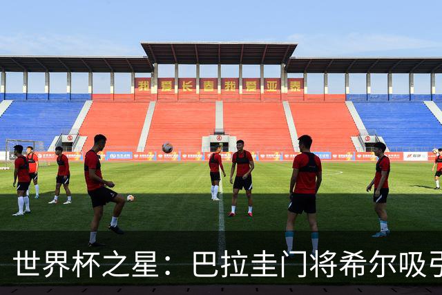 世界杯之星：巴拉圭门将希尔吸引西甲多家俱乐部的关注，身价飙升至700万欧元！