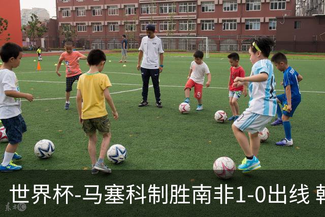 世界杯-马塞科制胜南非1-0出线 韩国积3分获小组第三待定