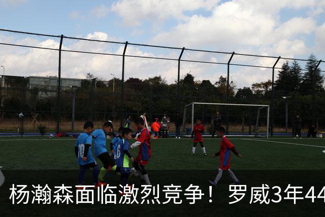 杨瀚森面临激烈竞争！罗威3年4400万美元续约开拓者