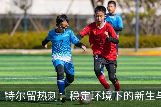 特尔留热刺：稳定环境下的新生与成长